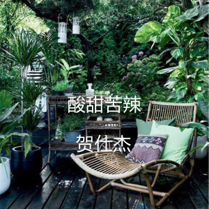 收聽賀仕傑的酸甜苦辣 (伴奏)歌詞歌曲
