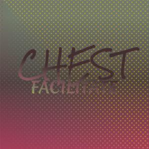 อัลบัม Chest Facilitate ศิลปิน Various