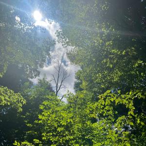 收听sinX的Uncertainty歌词歌曲