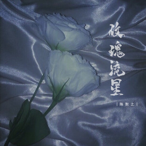 Album 玫瑰流星 oleh mine叶湘伦