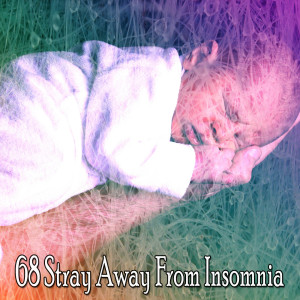 Album 68 Stray Away from Insomnia from Nature Sounds Nature Music