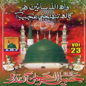Hafiz Jamil Ul Rehman Gandro的專輯Wah Allah Saiyin, Vol. 23