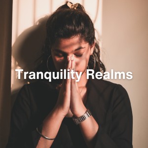 Album Tranquility Realms from Baby Sleep Music