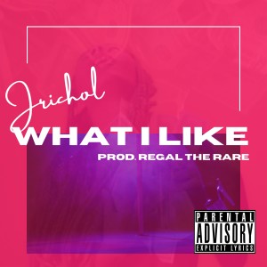 ดาวน์โหลดและฟังเพลง What I Like(feat. Jrichol) (Explicit) พร้อมเนื้อเพลงจาก Regal The Rare