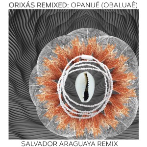 อัลบัม Orixás Remixed: Opanijé (Obaluaê) (Salvador Araguaya Remix) ศิลปิน Aloísio Menezes