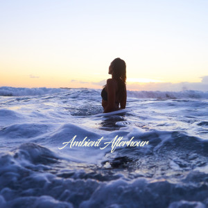 Various  Artists的专辑Ambient Afterhour