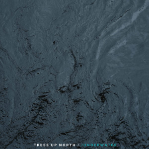 ดาวน์โหลดและฟังเพลง Underwater พร้อมเนื้อเพลงจาก Trees Up North