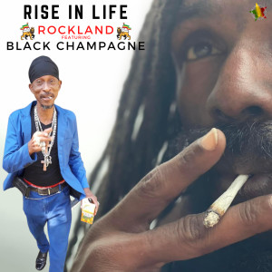Album Rise In Life from Black Champagne