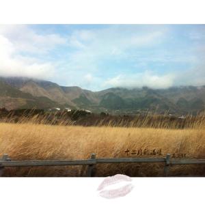 Listen to 十二月的温暖 (轻音乐) song with lyrics from 石亚辉