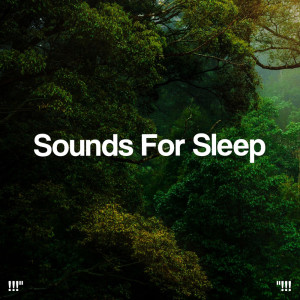 Album "!!! Sounds For Sleep !!!" from Sleep Sounds of Nature