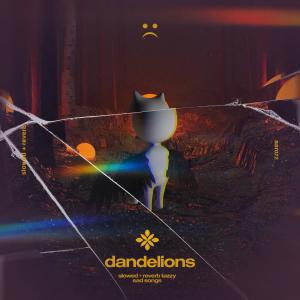 Dengarkan lagu dandelions - slowed + reverb nyanyian Group Star dengan lirik