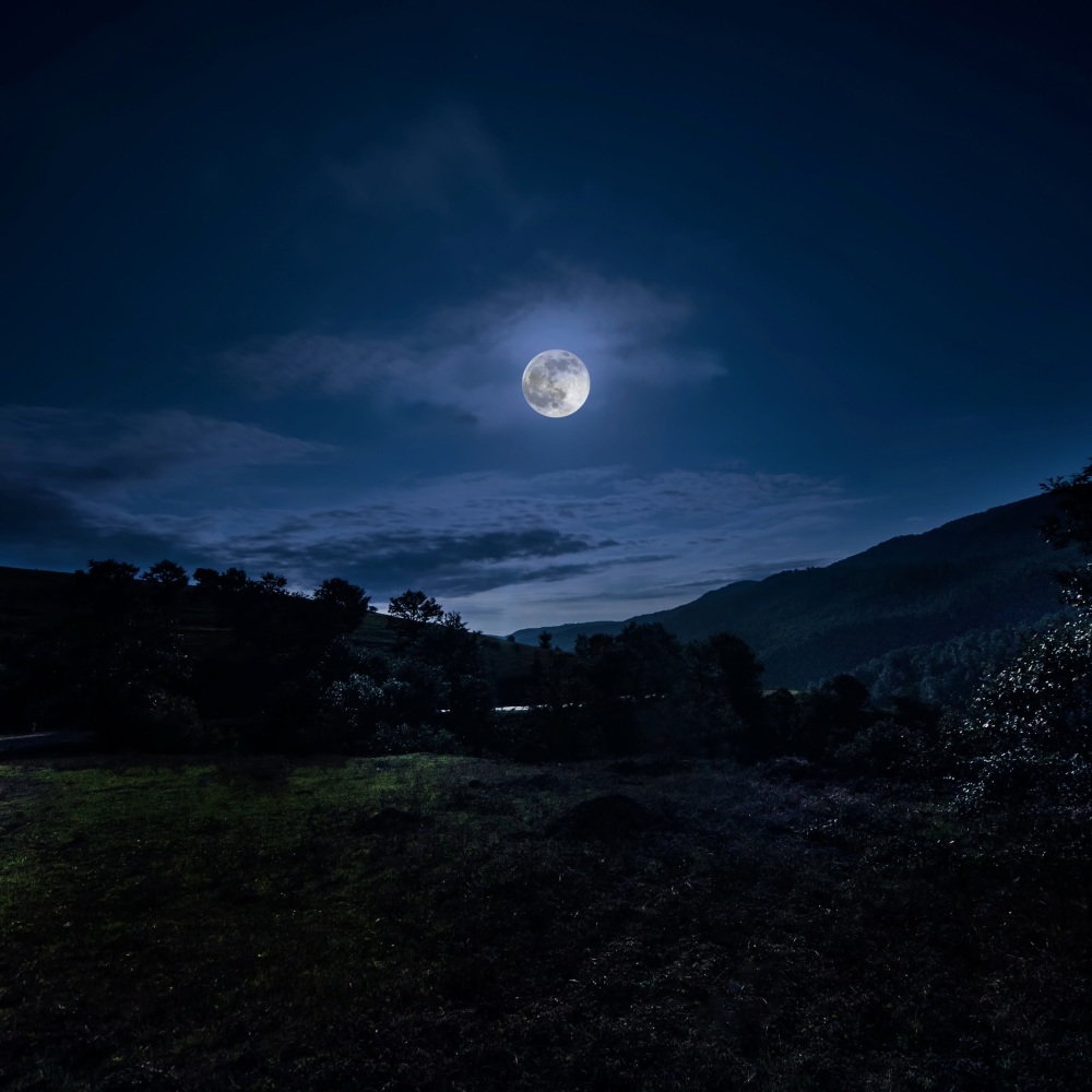 Dreaming ’Til Dawn