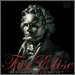 ดาวน์โหลดและฟังเพลง Double Violin Concerto, Bwv 1043 พร้อมเนื้อเพลงจาก Beethoven Consort