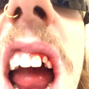 Yucca的專輯BOGO Bin (Explicit)