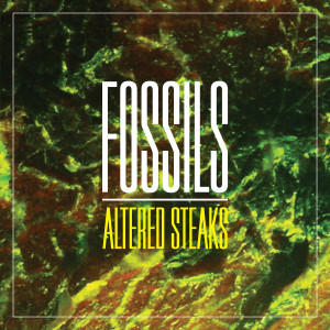 ดาวน์โหลดและฟังเพลง Stun พร้อมเนื้อเพลงจาก Fossils