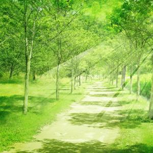 Album Love Of The Green from JCS
