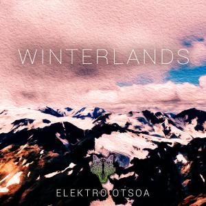 Listen to Winterlands song with lyrics from Elektro Otsoa