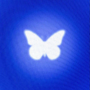 Butterfly doors (Explicit) dari Caprice the New Youngin'