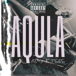 Listen to Лечу к тебе (Explicit) song with lyrics from AQULA
