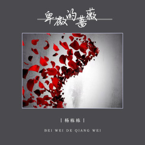 Album 卑微的蔷薇 oleh 杨栋梁