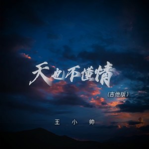 王小帥的專輯天也不懂情 (吉他版)