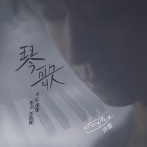 Dengarkan lagu 琴歌 nyanyian Group Star dengan lirik