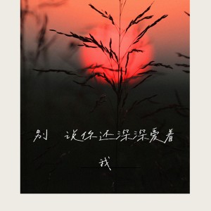 貴州雨神GZYS的專輯別說你還深深愛着我