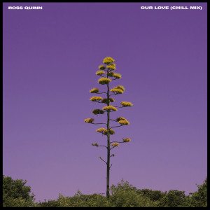 Album Our Love (Chill Mix) oleh Ross Quinn