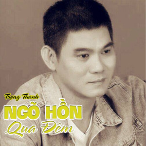 Listen to Lk Đêm Vũ Trường Vs Nào Biết Nào Hay song with lyrics from Trọng Thanh