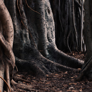 Listen to From the Other Side song with lyrics from Spa Music Relaxation