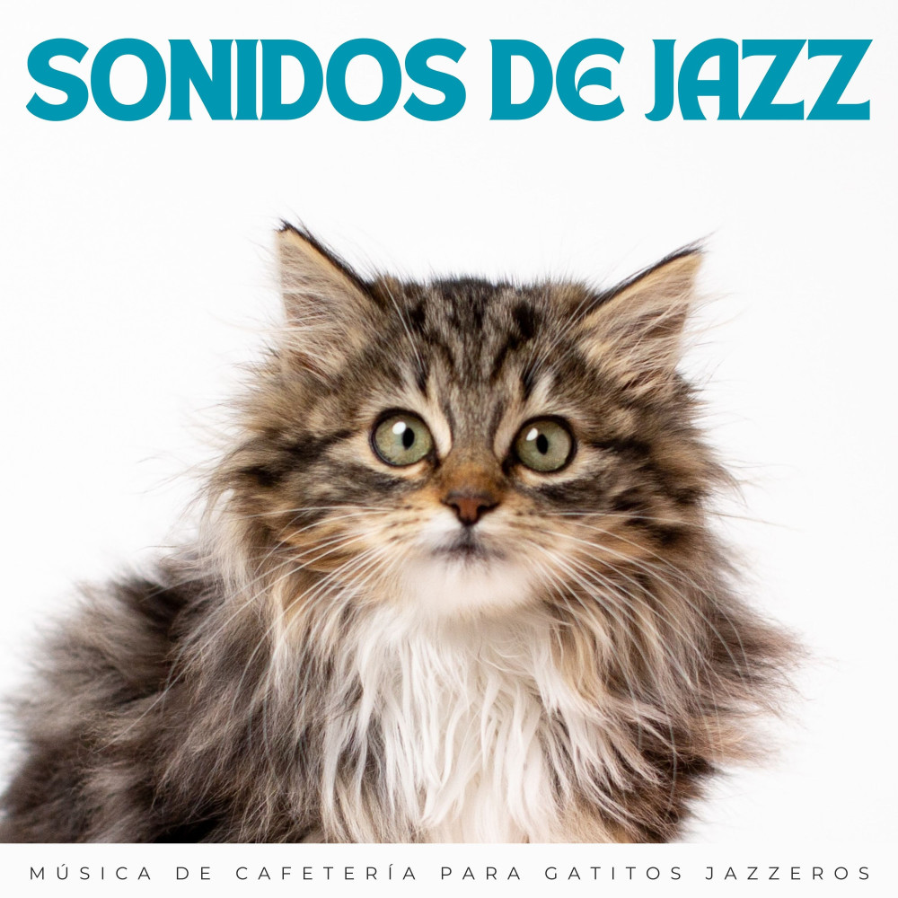 Jazz De Café Y Gatos