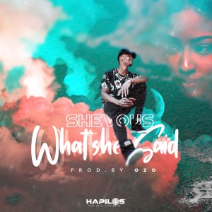 ดาวน์โหลดและฟังเพลง What She Said พร้อมเนื้อเพลงจาก Shevous