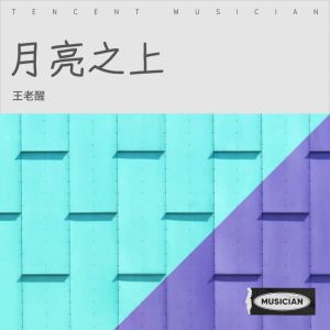 Listen to 月亮之上 (cover: 杨魏玲花|唐汉霄) (Live) song with lyrics from 王老醒