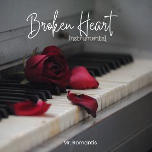 Mr.Romantis的專輯Broken Heart (Instrumental)
