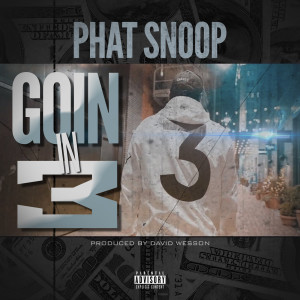 收听Phat Snoop的Goin in 3 (Explicit)歌词歌曲