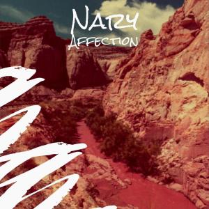 Dengarkan lagu Nary Affection nyanyian Jonar Lalman dengan lirik