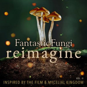 ดาวน์โหลดและฟังเพลง All Related (Fantastic Fungi Mix) พร้อมเนื้อเพลงจาก Nessi Gomes