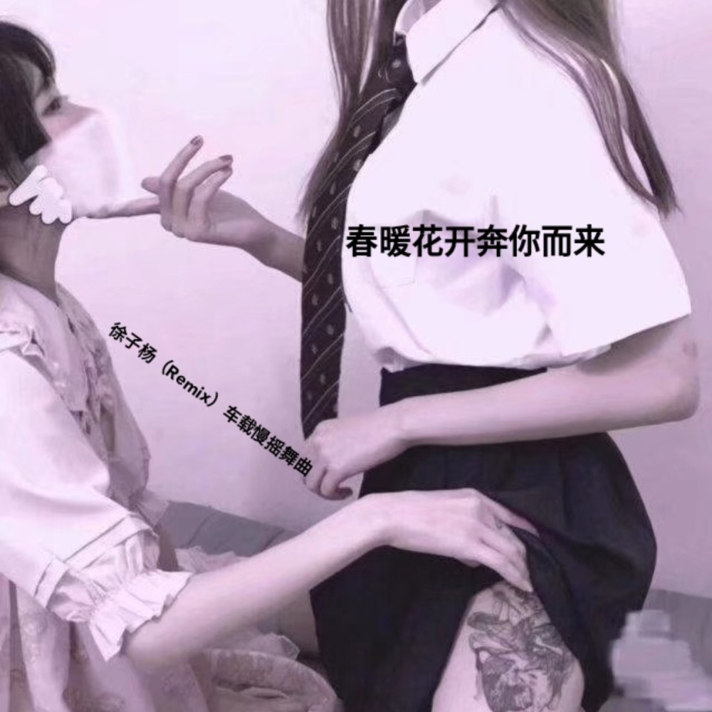 卡农 (Dj神拽版)