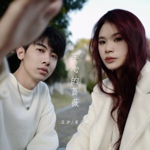 Listen to 手心的蔷薇 (cover: 林俊杰|G.E.M. 邓紫棋) (完整版) song with lyrics from 苯乙酸