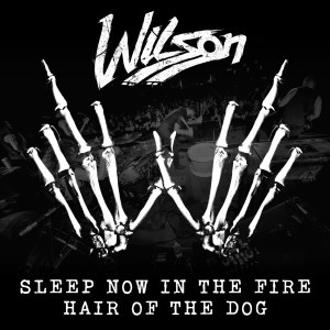 ดาวน์โหลดและฟังเพลง Sleep Now In The Fire (Cover) พร้อมเนื้อเพลงจาก Wilson