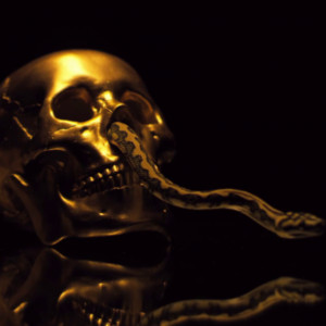Listen to Cobra (Explicit) song with lyrics from 9Lives
