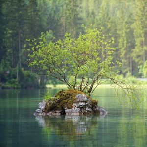Dengarkan Channeled Peace lagu dari Study Music dengan lirik