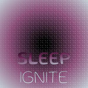 Listen to Sleep Ignite song with lyrics from Rolo Haki