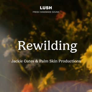 ดาวน์โหลดและฟังเพลง The Birds in the Spring พร้อมเนื้อเพลงจาก Lush Fresh Handmade Sound