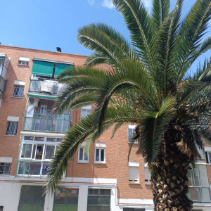 ดาวน์โหลดและฟังเพลง otra vez again พร้อมเนื้อเพลงจาก Jare