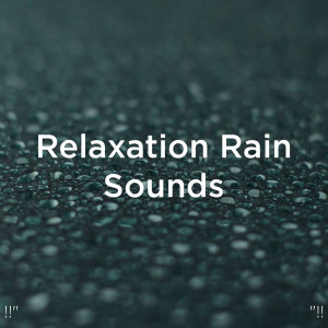 ดาวน์โหลดและฟังเพลง Healing Rain พร้อมเนื้อเพลงจาก Rain Sounds