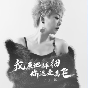 王娜的專輯我原地徘徊你遠走高飛（DJ彭銳版）