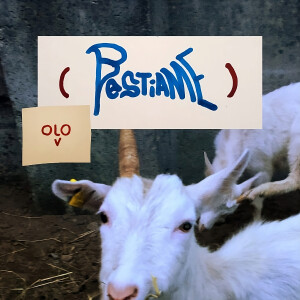 Solo Vocali的專輯( Bestiame )