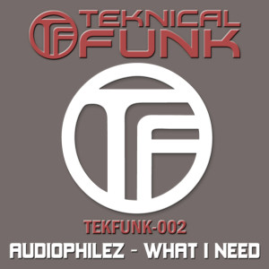 Listen to What I Need (Cenobites Remix) song with lyrics from Audiophilez