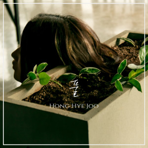 Listen to 풀 song with lyrics from 홍혜주